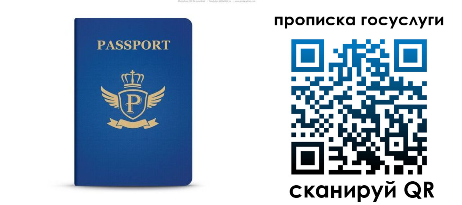 прописка для школы в Арамили